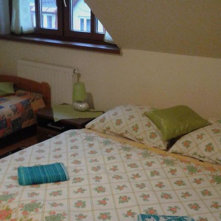 Guest House Vila Frýdštejn المظهر الخارجي الصورة