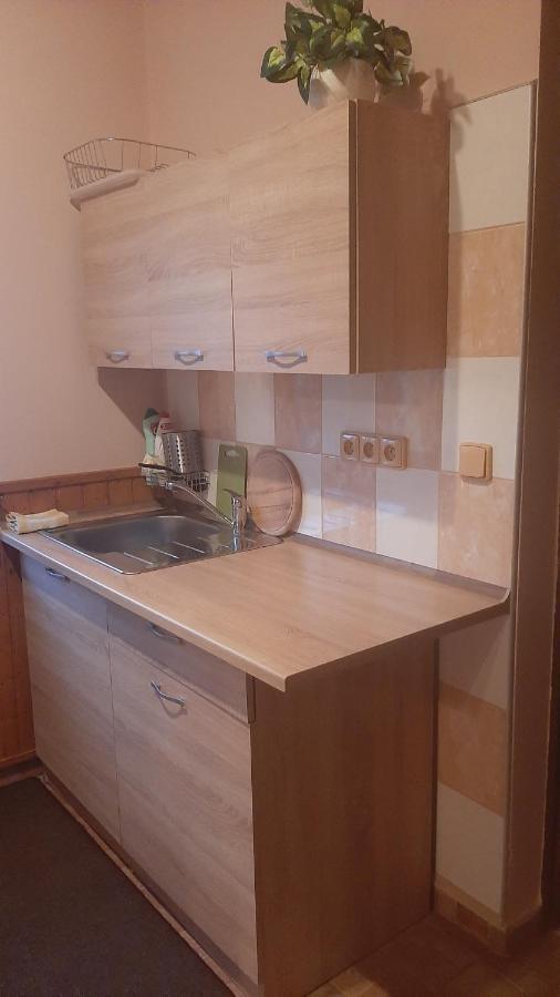 Guest House Vila Frýdštejn المظهر الخارجي الصورة